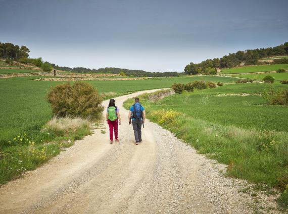 De Montblanquet a Vallbona GR175 ©LaRutadelCister 