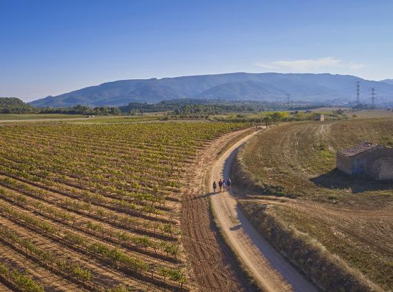 De Poblet al Cap del Coll GR175 ©LaRutadelCister 