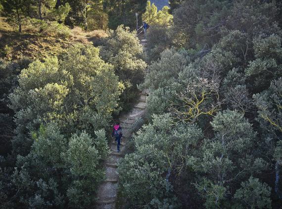 Montblanc, Pujada a Sant Joan ©LARUTADELCISTER