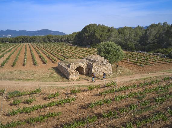 Ruta de la Capona - Pla de Santa Maria GR175 ©LaRutadelCister