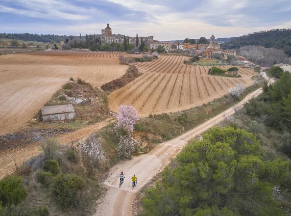 Santes Creus