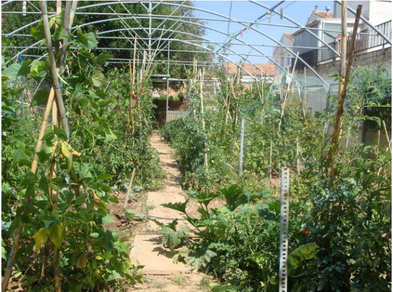 L'Hort de la Cinteta - Alcover