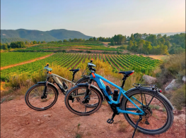 les-voltes-05_bikes-with-scenic-views.png