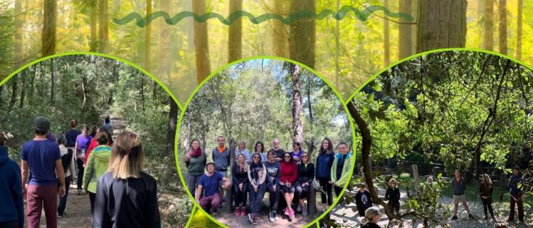 Itinerari forestal terapèutic Mindfulness 