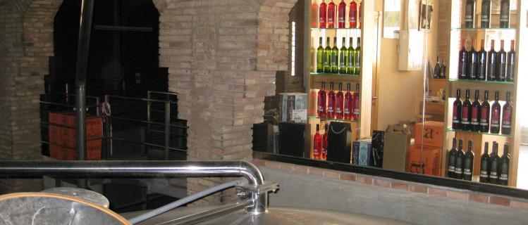 Wine Cellar of Barberà de la Conca