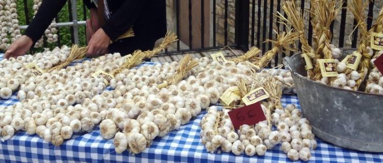Garlics of cal Bisbe