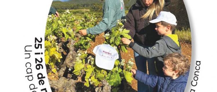 Vinyafest en familia en la Conca de Barberà, el 25 y 26 de mayo